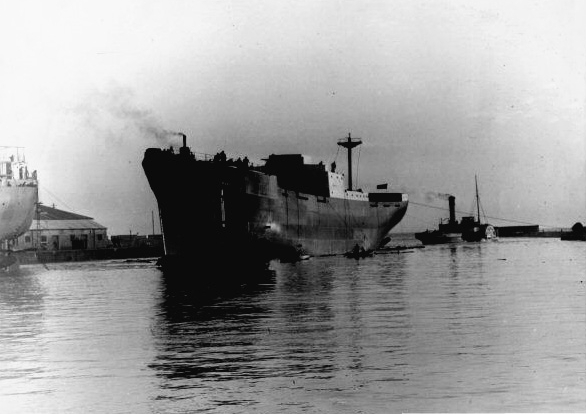 The 'Kittiwake'